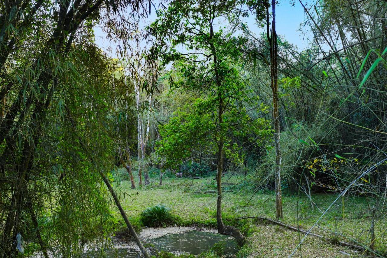 Keys Prima By Lemon Tree Hotels, Thekkady Zewnętrze zdjęcie